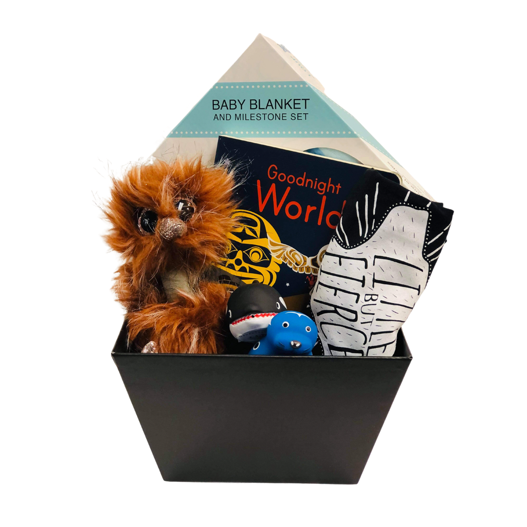 Baby Boy Gift Basket I West Coast Gift Baskets